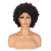 VAST Wholesale Brazilian Human Hair Short Wigs Afro Kinky Curly Full Lace Wigs for Black Women