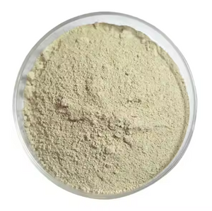 Soy Protein
